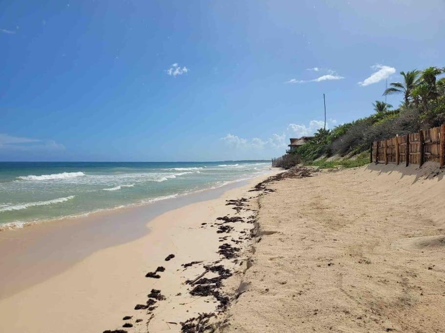 Luxury 5-Br Beachfront Home In Tulum Casa Sofia Gato Luaran gambar