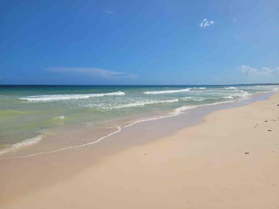 Luxury 5-Br Beachfront Home In Tulum Casa Sofia Gato Luaran gambar